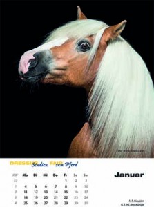 DS_Kalender_2016_02.indd