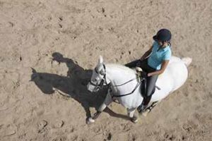 Stellung und Biegung von oben betrachtet.