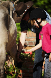 Die Natural Kids Ranch. Foto: privat