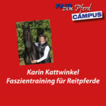 Video: Fzp-Campus "Faszientraining für Reitpferde"