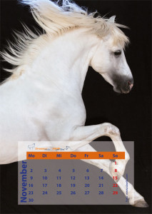 kalender_2015_vekt_01cs55.indd