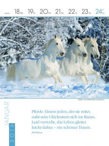 Pferde 2016 24x32.indd