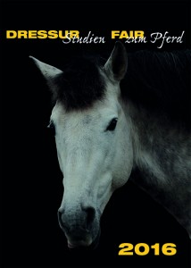 DS_Kalender_2016_02.indd