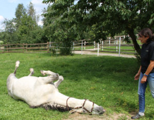 Editorialbild für unser Heft 372014