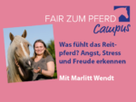 FzP-Campus: Was fühlt das Reitpferd?