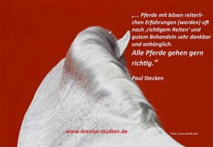 meme_pferde_gehen_gern_richtig