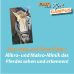 FzP-Campus-Video: Die Mikro- und Makro-Mimik des Pferdes