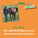 FzP-Campus: Das alte Pferd - wenn es von allem etwas mehr sein darf