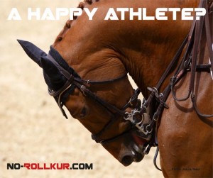 Bild eines Springpfferdes, das mit extremer Rollkur geritten wird