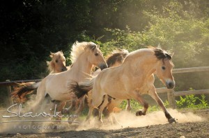 Foto: www.slawik.com