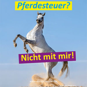 pferdesteuer