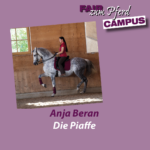 FzP-Campus Video mit Anja Beran: Die Piaffe