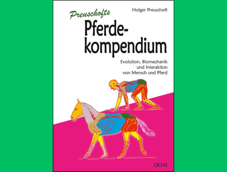 Titelbild mit einer Zeichnung eines Pferdes und eines Menschen im Vierfüßlerstand.