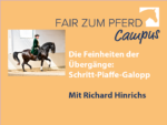 FzP-Campus mit Richard Hinrichs: Die Feinheiten der Übergänge