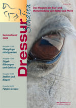 Sammelband mit allen Heften aus 2009