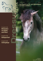 Sammelband mit allen Heften aus 2006