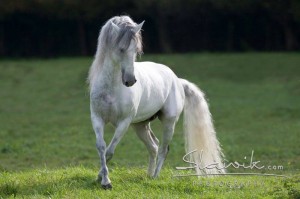 Foto: www.slawik.com