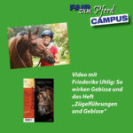 Spar-Paket mit Heft und Video: Zügelführungen und Gebisse