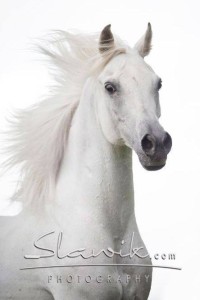 Foto: www.slawik.com