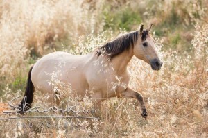 Foto: www.slawik.com