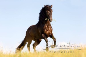 Foto: www.slawik.com