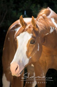 Foto: www.slawik.com