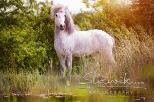 Foto: www.slawik.com