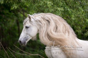 Foto: www.slawik.com