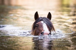 Foto: www.slawik.com