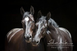 Foto: www.slawik.com