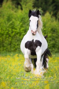 Foto: www.slawik.com