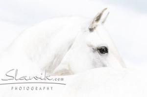 Foto: www.slawik.com