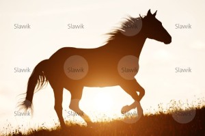 Foto: www.slawik.com