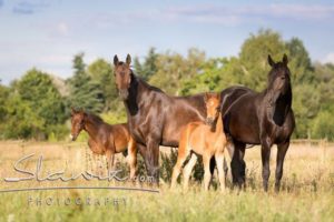 Foto: www.slawik.com