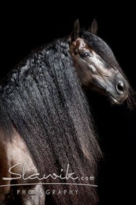 Foto: www.slawik.com