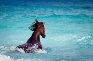 Foto: www.slawik.com