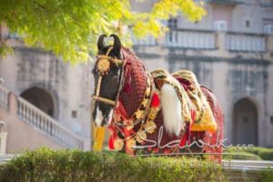 Foto: www.slawik.com