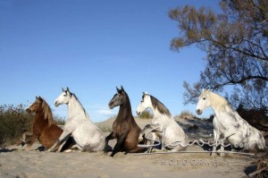 Foto: www.slawik.com