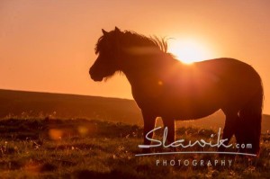 Foto: www.slawik.com