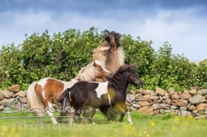 Foto: www.slawik.com