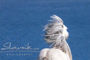 Foto: www.slawik.com