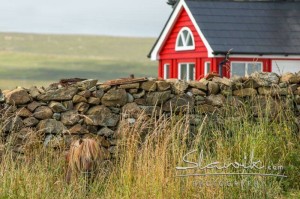 Foto: www.slawik.com