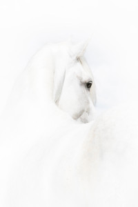 Foto: www.slawik.com