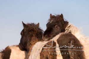 Foto: www.slawik.com