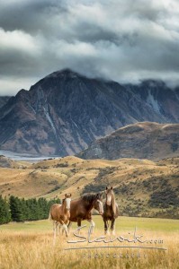 Foto: www.slawik.com