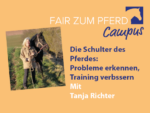 FzP-Campus-Video: Die Pferdeschulter - Probleme erkennen