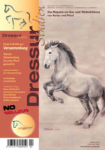 Erste Schritte zur Versammlung