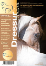 Die Lösungsphase: Richtig aufwärmen