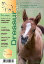 Reiten lernen und lehren