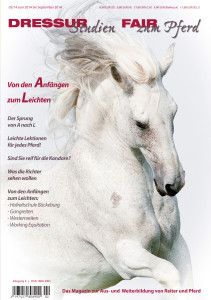Cover: Von den Anfänge zum Leichten